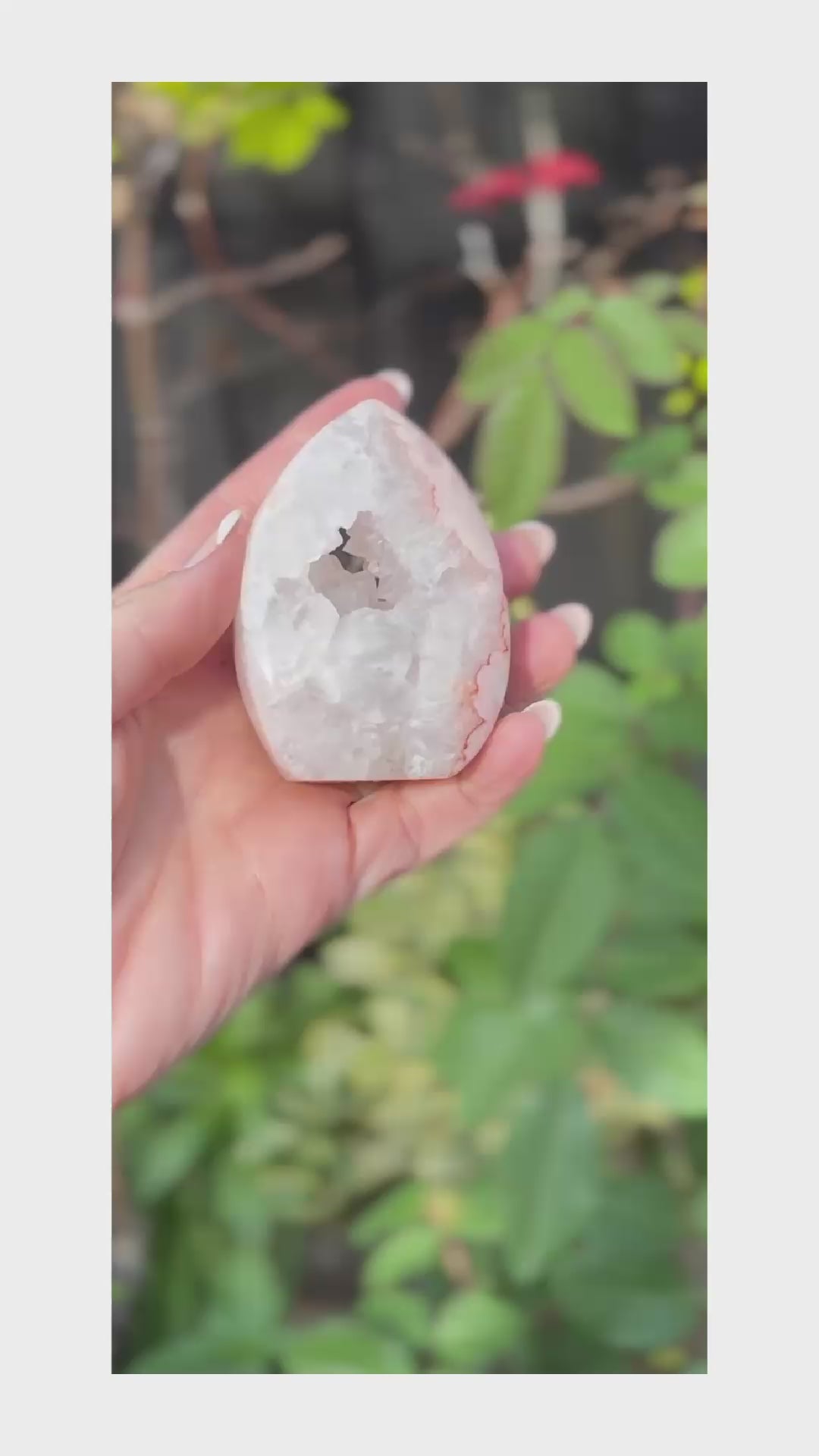 Flower Agate Freeform with Crystal Pocket Drusy